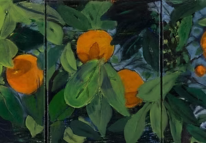 Orange Grove